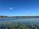 Beautiful view of the lake with lily pads floating on the water at 3399 Buoy Cir, Winter Garden, FL 34787