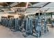 Well-equipped fitness center with a variety of modern weight machines for a complete workout experience at 5663 Loggia Ln, Kissimmee, FL 34758