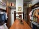 Organized walk-in closet featuring ample shelving, storage, and natural light at 913 Red Fox Rd, Altamonte Springs, FL 32714