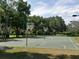 Outdoor basketball court with green surface and ample lighting, surrounded by lush landscaping and mature trees at 131 Wimbledon Cir, Lake Mary, FL 32746