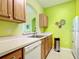 Kitchen view showcasing stainless steel sink, wooden cabinets, and a bright green color scheme at 2781 Almaton Loop # 404, Kissimmee, FL 34747