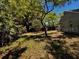 The backyard features mature trees and landscaping, providing a tranquil outdoor space at 3144 Ginger Cir, Orlando, FL 32826