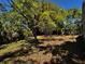The backyard offers a large grassy area surrounded by mature trees and landscaping at 3144 Ginger Cir, Orlando, FL 32826
