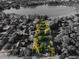 Aerial view of a private estate showcasing a large property with lush landscaping and a pool at 320 Mary Jess Rd, Orlando, FL 32839