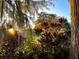Brightly sunlit scene of a lush backyard, framed with rich foliage at 320 Mary Jess Rd, Orlando, FL 32839