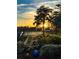 Scenic lake view through trees at sunset at 320 Mary Jess Rd, Orlando, FL 32839