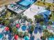 Drone image of the volleyball court, basketball court, lounge chairs, umbrellas, and palm trees at 4098 Lana Ave, Davenport, FL 33897