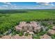 An aerial view of the neighborhood and building surrounded by beautiful green scenery at 501 Mirasol Cir # 519, Celebration, FL 34747