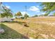 Large backyard showing the spacious lawn area with a fire pit and planted shrubbery at 9188 Chandler Dr, Groveland, FL 34736