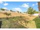 A grassy backyard with young trees and plants, showcasing a view of the surrounding community at 9188 Chandler Dr, Groveland, FL 34736