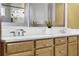 Bathroom with a wood vanity featuring double sinks, modern faucets, and ample storage space at 10254 Beechwood Ln, Orlando, FL 32832