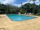Sparkling pool with lounge chairs offers a relaxing outdoor space surrounded by lush landscaping and shady trees at 2832 Risser Ave, Orlando, FL 32812