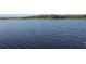 Wide lake view illustrating the calm, shimmering waters, ideal for boating, fishing, or simply soaking in the view at 1062 Lakeside Estates Dr, Apopka, FL 32703