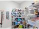 Walk-in pantry with ample shelving and organized storage solutions at 12067 Eastmoor Dr, Winter Garden, FL 34787