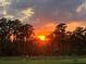 Vibrant sunset view with orange and red sky, silhouetted trees, and peaceful landscape at 12067 Eastmoor Dr, Winter Garden, FL 34787
