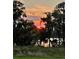 Picturesque sunset reflecting on the water, framed by trees and lush greenery at 12067 Eastmoor Dr, Winter Garden, FL 34787
