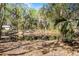 A view of the serene pond with mature trees in the surrounding area at 1475 James St, New Smyrna Beach, FL 32168