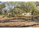 Scenic view of the tranquil pond surrounded by mature trees and natural vegetation at 1475 James St, New Smyrna Beach, FL 32168