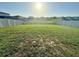 Spacious backyard with green grass and a privacy fence, perfect for outdoor activities at 1513 Congaree St # 1513, Davenport, FL 33837