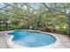 Inviting in-ground pool with screened enclosure, lush landscaping, and comfortable seating area at 243 Sagecrest Dr, Ocoee, FL 34761