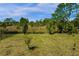 A spacious backyard lined with mature trees and greenery offers lots of room to roam at 2613 Camden Park Loop, Davenport, FL 33837