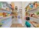 Well-organized pantry with wire shelving stocked with various food items and household supplies for convenient storage at 5660 Oak Knoll Dr, St Cloud, FL 34771