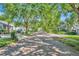Quiet street view showcasing beautiful brick-paved road and mature trees at 796 Mcintyre Ave, Winter Park, FL 32789