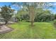 Lush backyard featuring mature trees, green lawn, and a screened-in pool for outdoor relaxation at 89 Pine Forest Ln, Haines City, FL 33844