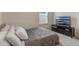 Bedroom featuring a neutral paint palette, television, plush carpet, and bright natural light at 9433 Randal Park Blvd, Orlando, FL 32832
