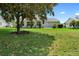 Lush backyard features a well-maintained lawn and view of the home's rear exterior at 25929 Newcombe Cir, Leesburg, FL 34748