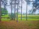 A backyard view shows the pond and an open lawn at 5421 Watervista Dr, Orlando, FL 32821