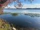 Serene lake view featuring a birdhouse and lily pads on the water at 106 Madrid Dr, Casselberry, FL 32707