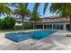 Backyard view of a pool with spa and tile details, lined with palm trees and greenery at 13125 Casabella Dr, Windermere, FL 34786