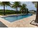 Backyard featuring a rectangular pool with a spa and palm trees at 13125 Casabella Dr, Windermere, FL 34786