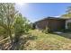 Well-maintained backyard with lush green grass, professional landscaping, and a serene atmosphere at 2380 Kaley Ridge Rd, Clermont, FL 34715