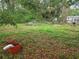 Backyard with unkempt foliage and an orange plastic bin filled with debris on the ground at 2507 Lafayette Ave, Winter Park, FL 32789