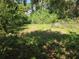 Image showing a lot overgrown with vegetation and trees at 2507 Lafayette Ave, Winter Park, FL 32789