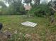 An overgrown backyard shows evidence of yard work, a grill, and lots of foliage at 2507 Lafayette Ave, Winter Park, FL 32789