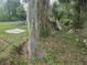 Overgrown backyard with trees and a fallen tree trunk covered with Spanish moss at 2507 Lafayette Ave, Winter Park, FL 32789