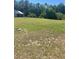 Large grassy lot featuring some trees and a small building at 526 Seasons Ct, Winter Springs, FL 32708