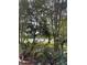 Serene lake view framed by trees and lush landscaping, creating a private oasis at 8419 Chamberlain Pl, Oviedo, FL 32765