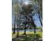 Picturesque lake view property featuring mature trees, open green space, and tranquil water at 8419 Chamberlain Pl, Oviedo, FL 32765