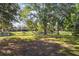 Picturesque backyard featuring a pond and mature trees, offering a serene and private setting at 9244 Pecky Cypress Way, Orlando, FL 32836