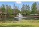 Scenic view of pond with fountain surrounded by lush trees and landscaping in a tranquil community setting at 11345 Preserve View Dr, Windermere, FL 34786