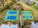 Overhead view features tennis and basketball courts along with a swimming pool, with palm trees and nearby houses at 2795 Westyn Cove Ln, Ocoee, FL 34761