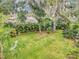 Lush backyard featuring a mix of palm trees and other vegetation, creating a private and serene outdoor space at 445 Songbird Way, Apopka, FL 32712