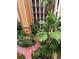 Scenic view of a well-maintained courtyard with lush greenery, colorful flowers, and walking paths at 12527 Floridays Resort Dr # 603E, Orlando, FL 32821