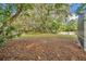 Spacious backyard, partially covered with leaves from mature trees at 1111 Lynx Trl, Winter Springs, FL 32708