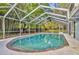 Screened-in pool surrounded by trees, offering a private backyard retreat at 1111 Lynx Trl, Winter Springs, FL 32708