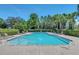 A refreshing community swimming pool is surrounded by lounge chairs, lush landscaping, and serene greenery at 1558 Terra Verde Way, Ocoee, FL 34761